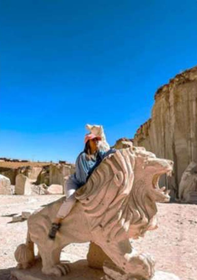 Escultura de un león tallada en sillar