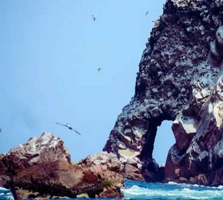 Formaciones rocosas con aves marinas en las Islas Ballestas
