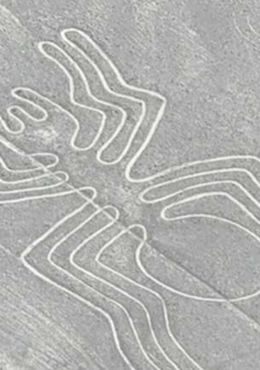 Sobrevuelo Líneas de Nazca