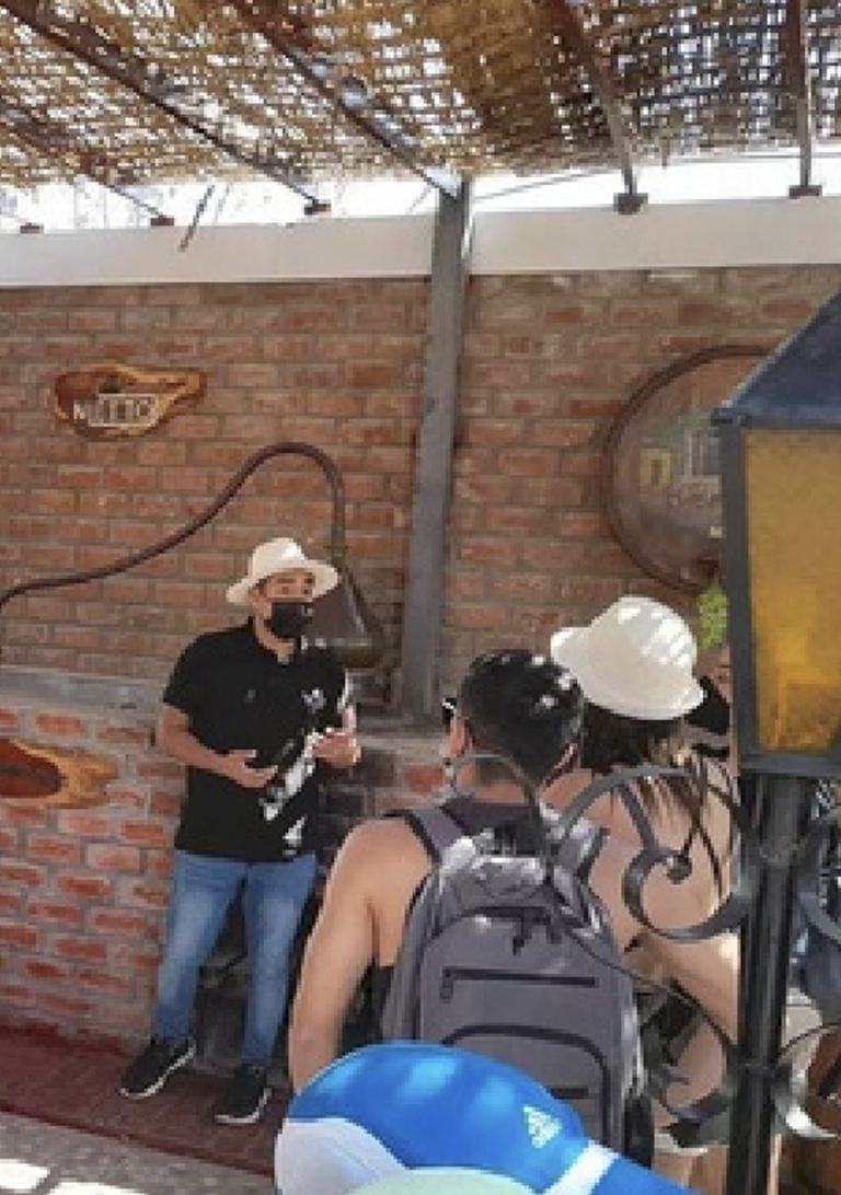 Degustación de vino y pisco en una bodega de Ica